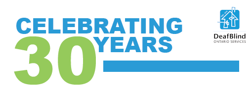 Celebrating 30 Years 30 Year Logo