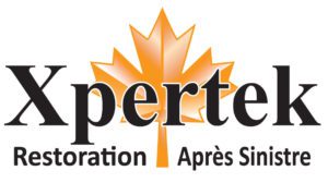 Xpertek Logo