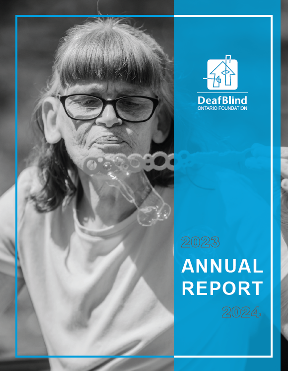 Image of front cover of DBOF Annual Report 2022-23 (text only)