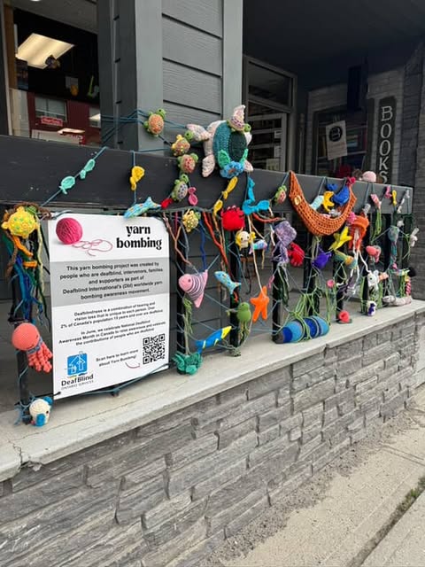 A Community Stitched Together: How One Local Business got involved with Yarn Bombing to Raise Awareness for the deafblind community